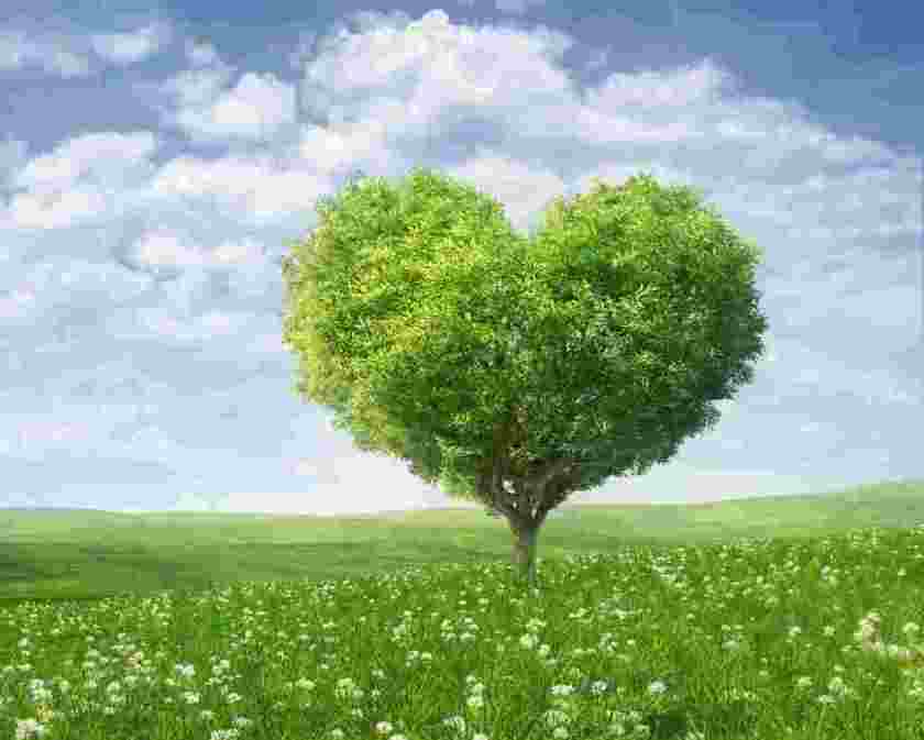 love nature